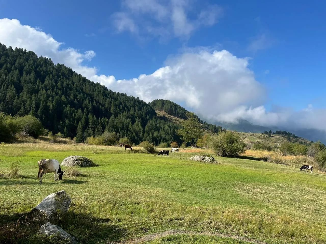 Lepusha valley